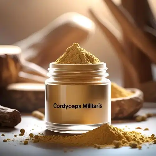 Top Things to Consider Before Buying Cordyceps Militaris Extract